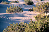 Death Valley NP. California. USA.