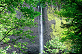 Latourell Falls. Oregon. USA