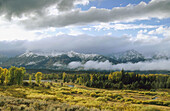 Beavertail ponts overlook in autumn willows and Teton mountains after snow storm. Grand Teton National Park. Wyoming. USA