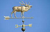 Weathervane with wapiti theme at west Yellowstone. Yellowstone National Park. Wyoming. USA