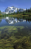 Mount Shuksan reflected in Picture Lake. Mount Baker-Snoqualmie National Forest. Washington. USA