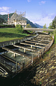 Fish ladder and powerhouse at Bonneville Dam. Columbia River Gorge Natural Scenic Area. Oregon, USA