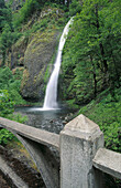 Horsetail Falls with Old Columbia Highway bridge railing. Columbia George Natural Scenic Area. Oregon, USA