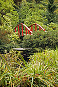 Red Moon Bridge framed by Rhododendrons, Cotoneaster, autumn w/ Iris foliage soft fgnd (Rhododendron cvs.; Iris sp.; Cotoneaster sp.). Kubota, Seattle, WA.