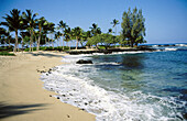 Beach shoreline. North Kohala coast. Hawaii. USA.