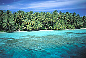 Palm beach. Maldive Islands