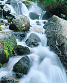 Cascades. Rocky Mountain NP. Colorado. USA