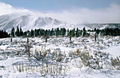 Eastern Sierras. California. USA