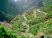Road above Masca in Tenerife. Canary Islands. Spain