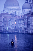 Santa Maria della Salute. Venice. Italy.