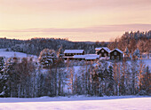 Snowy trees and red houses in winter. Västerbotten. Sweden