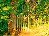 Gate in the forest. Havang. Skane. Sweden