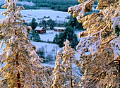View of Klutmark in winter. Västerbotten. Sweden