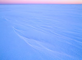 Snowformations on the frozen sea, a cold wintermorning. Bjuroklubb. Vasterbotten. Sweden