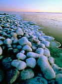 Icy stones on the shore under the evening light of Langnasudden. Vasterbotten. Sweden
