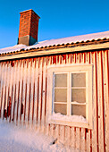 Frost in a cold morning in Bjuroklubb. Vasterbotten. Sweden