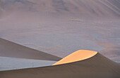 Sand dune in Sossusvlei. Namib Desert. Namibia