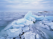 Break-up of ice at the shoreline of Gulf of Bothnia. Kagnasudden, Västerbotten, Sweden