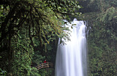 A red-dressed man and La Paz waterfall. Costa Rica.