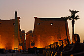 sphinxes and obelisk in front of first pylon in Luxor temple, illuminated in twilight, Egypt, Africa