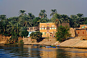 Nilkreuzfahrt, Häuser und Palmen am Ufer, Nil Abschnitt Luxor-Dendera, Ägypten, Afrika