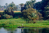 Nilkreuzfahrt, Fischer im Boot vor Ufer mit Palmen, Nil Abschnitt Luxor-Dendera, Ägypten, Afrika