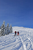 Three backcountry skiers ascending Wertacher Hoernle, Allgaeu Alps, Bavaria, Germany