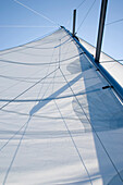 Sail of a sailing boat, yacht, sailing trip, Croatia