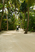 Two cyclists at the One & Only Resort Reethi Rah, Maldives