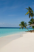 Weiße Sandstrand mit Palmen, Luxusurlaub auf eine Privatinsel mit eigener Yacht, Rania Experience, Faafu Atoll, Malediven