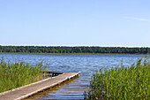 Lake in Dzukijos National Park, Lithuania
