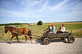 Pferdewagen unterwegs im Memeldelta, Litauen