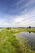 Bird sanctuary in the Nemunas delta, Lithuania