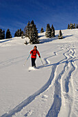 Skifahrerin, Abfahrt durch verschneite Winterlandschaft, Koppachstein, Balderschwanger Tal, Allgäuer Alpen, Allgäu, Schwaben, Bayern, Deutschland