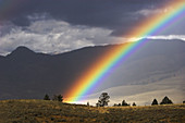 An afternoon rainbow in Yellowstone National Park, Wyoming. USA.
