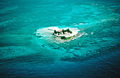 Serveant cay. Belize Coral Reef. Belize