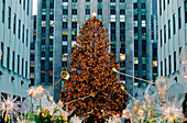 Christmas tree at Rockefeller Center . New York City. USA
