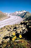 Aletsch Glacier. Switzerland