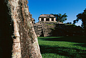 Mayan ruins. Palenque. Mexico