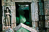 Detail of a window in the Ta Prohm Temple. Angkor. Cambodia