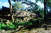 Ta Prohm Temple in Angkor Wat complex. Siem Reap. Cambodia