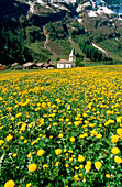 View of a village in Canton Graubünden. Alps. Switzerland