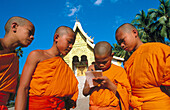 Novice monks at temple. Luang Prabang, Laos