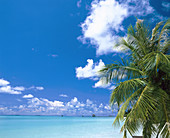 Ari atoll, white sands resort. Maldives Islands. Indian Ocean