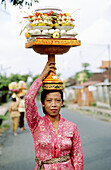 Woman carrying offers the Galungan Festival. Bali, Indonesia
