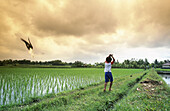 Young boy flying a kit in a rice field. Bali Island, Indonesia