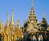 Shwedagon Pagoda. Yangoon. Myanmar