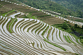 Terraced rice fields. Guilin. Longsheng. Guangxi Province. China.