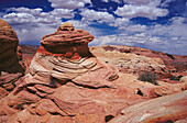 Paria Canyon-Vermilion Cliffs Wilderness. Arizona. USA