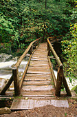 Wooden footbridge over Hardy Creek, Columbia River Gorge, Beacon Rock State Park, Washington